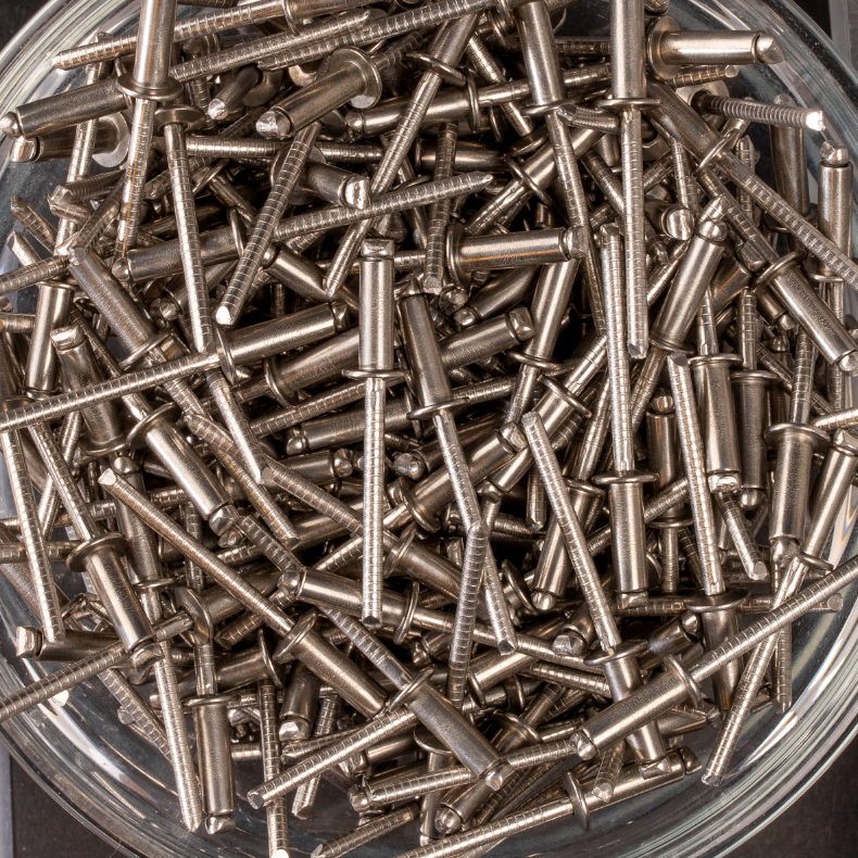 250 rivets standards à inox A2/inox A2 à tête plate à Ø4x12mm - SCELL-IT - BTD4012