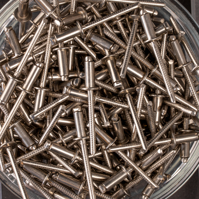 250 rivets standards à inox A2/inox A2 à tête plate à Ø4,8x12mm - SCELL-IT - BTD4812