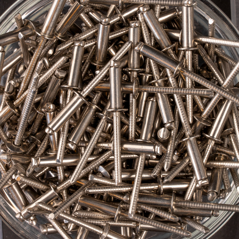 250 rivets standards à inox A2/inox A2 à tête plate à Ø4,8x16mm - SCELL-IT - BTD4816