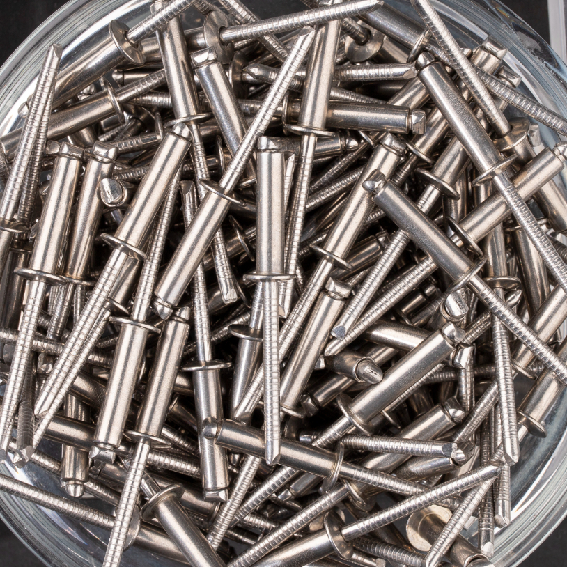 250 rivets standards à inox A2/inox A2 à tête plate à Ø4,8x20mm - SCELL-IT - BTD4820