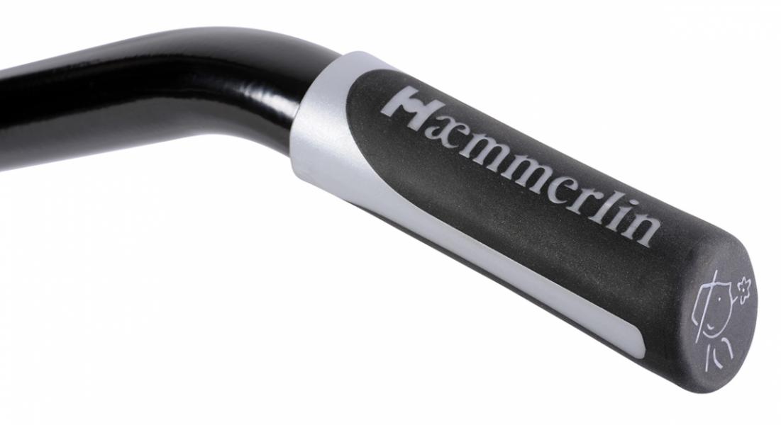 Brouette HAEMMERLIN Expert Twin Excellium 230L Peinte Roues Increvables Verte - 306050501