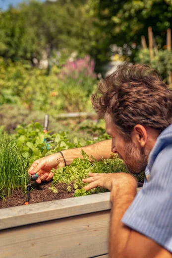 Goutteur en ligne réglable et régulateur de pression 1 - 8 l/h - GARDENA - 13314-20