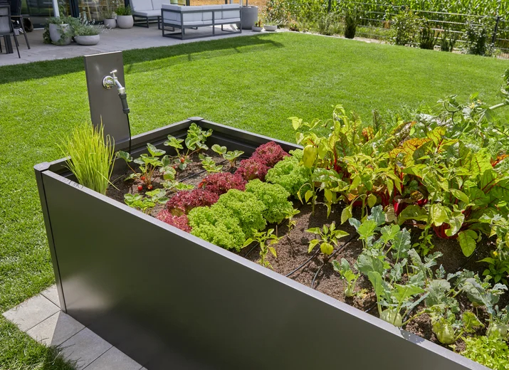 Kit d'initiation pour rangées de plantes - jusqu'à 35 plantes - GARDENA - 13455-32