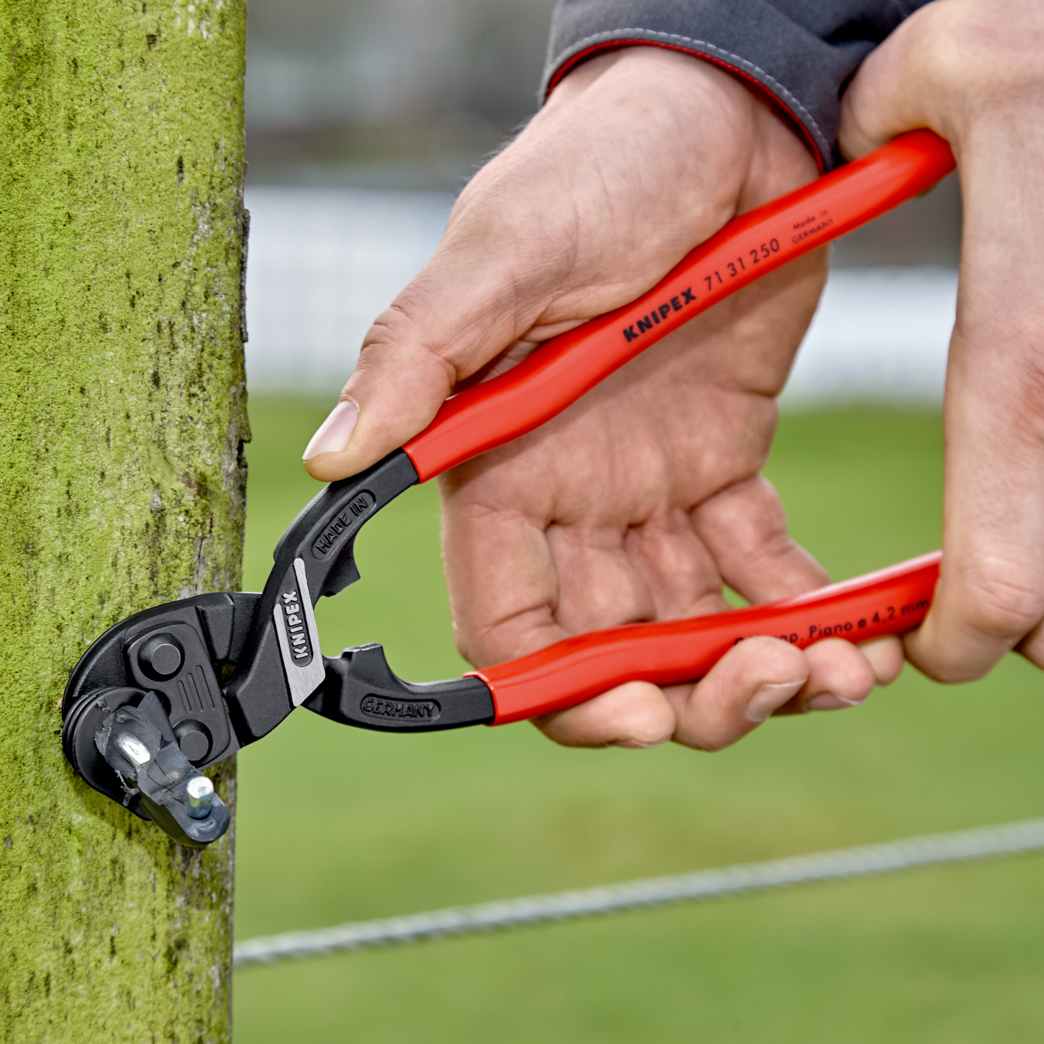 Pince coupe-boulons compacte Cobolt XL 250mm KNIPEX - 71 31 250
