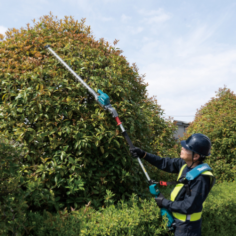 Taille-haie à perche XGT 60cm (produit seul) - MAKITA - UN001GZ