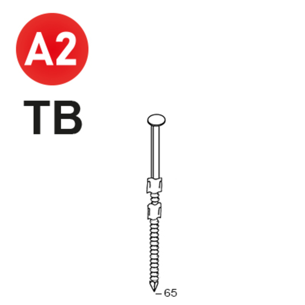 2200 POINTES 20° 29 X 65 ANNELÉES INOX TB - ALSAFIX - 20290658