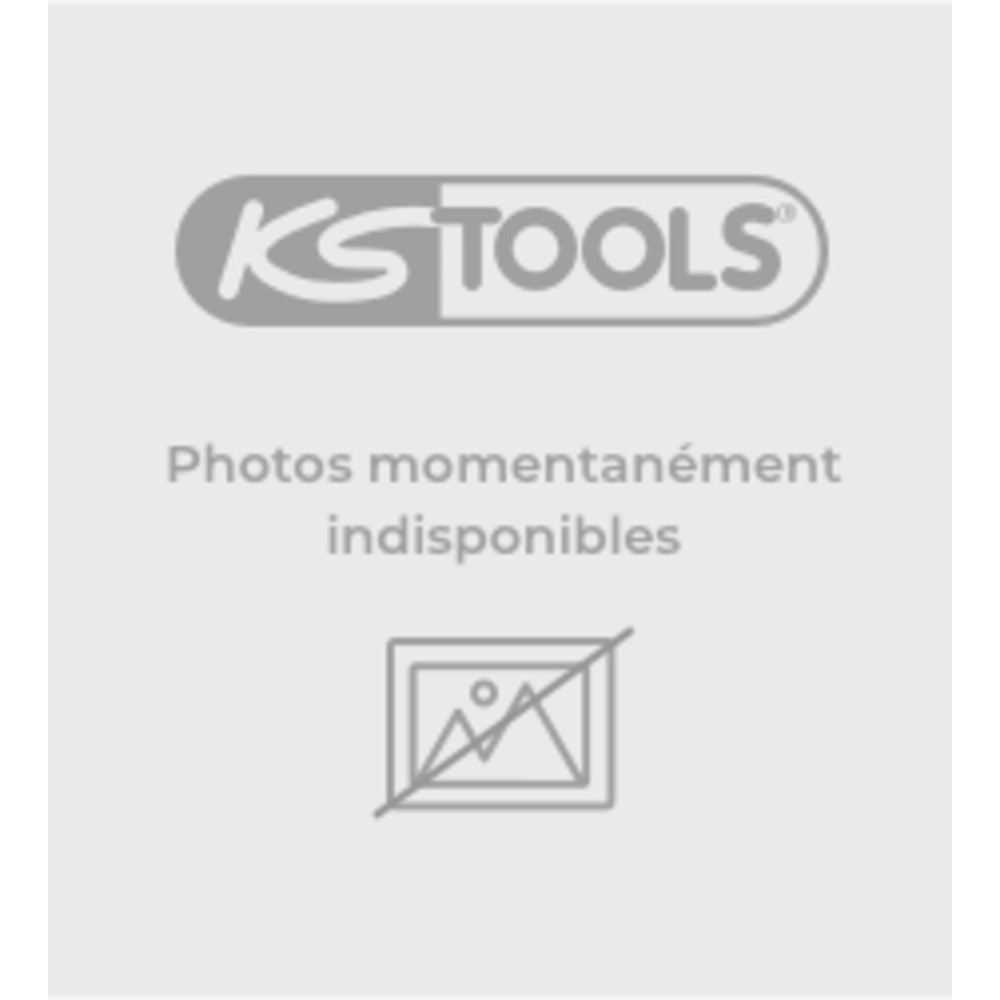 Clé à fourches brunie 24x27 mm KS TOOLS - 517.1423