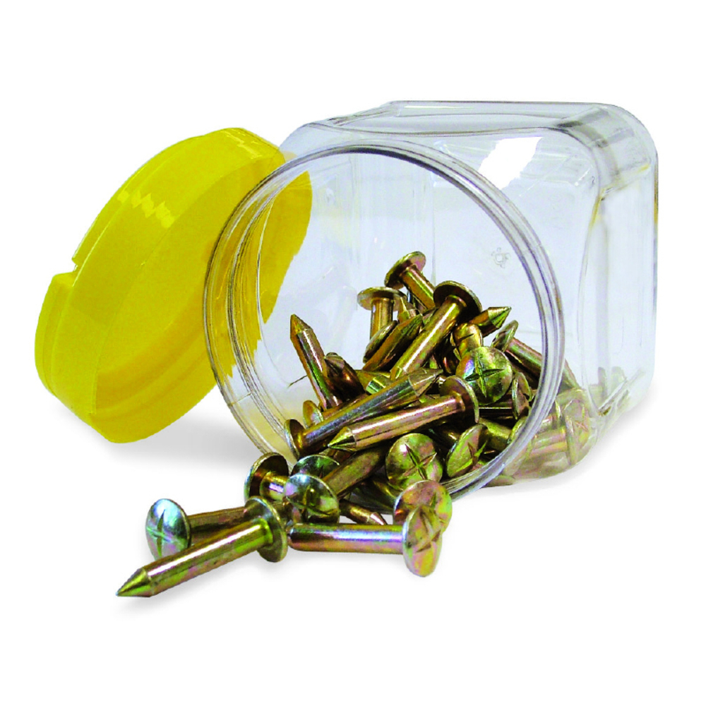 CLOUS DE GEOMETRE - ARPENTAGE METRICA 100PCS - 00250