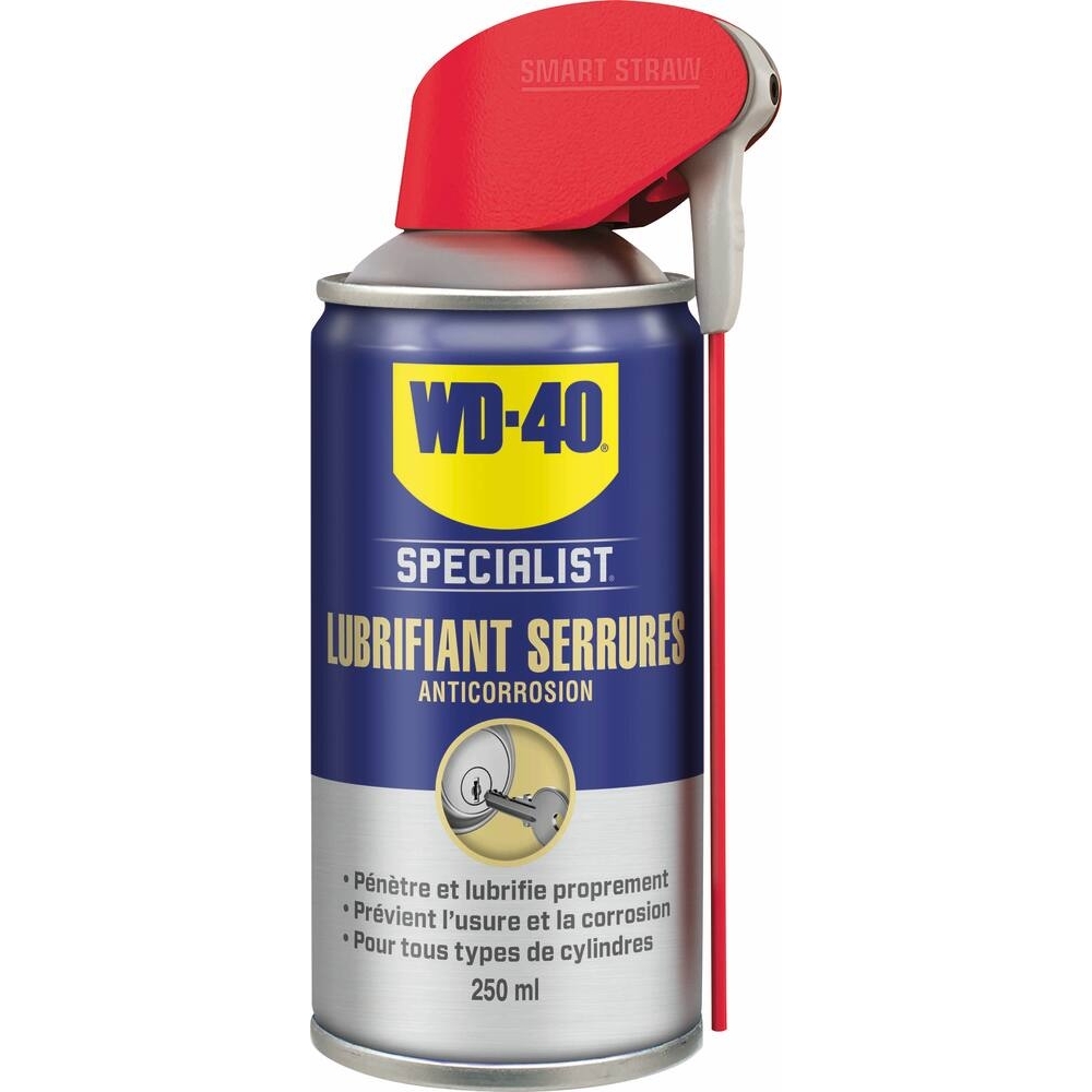 AEROSOL WD40 SPECIALIST LUBRIFIANT SERRURES 250ML - WD-40 - 61984